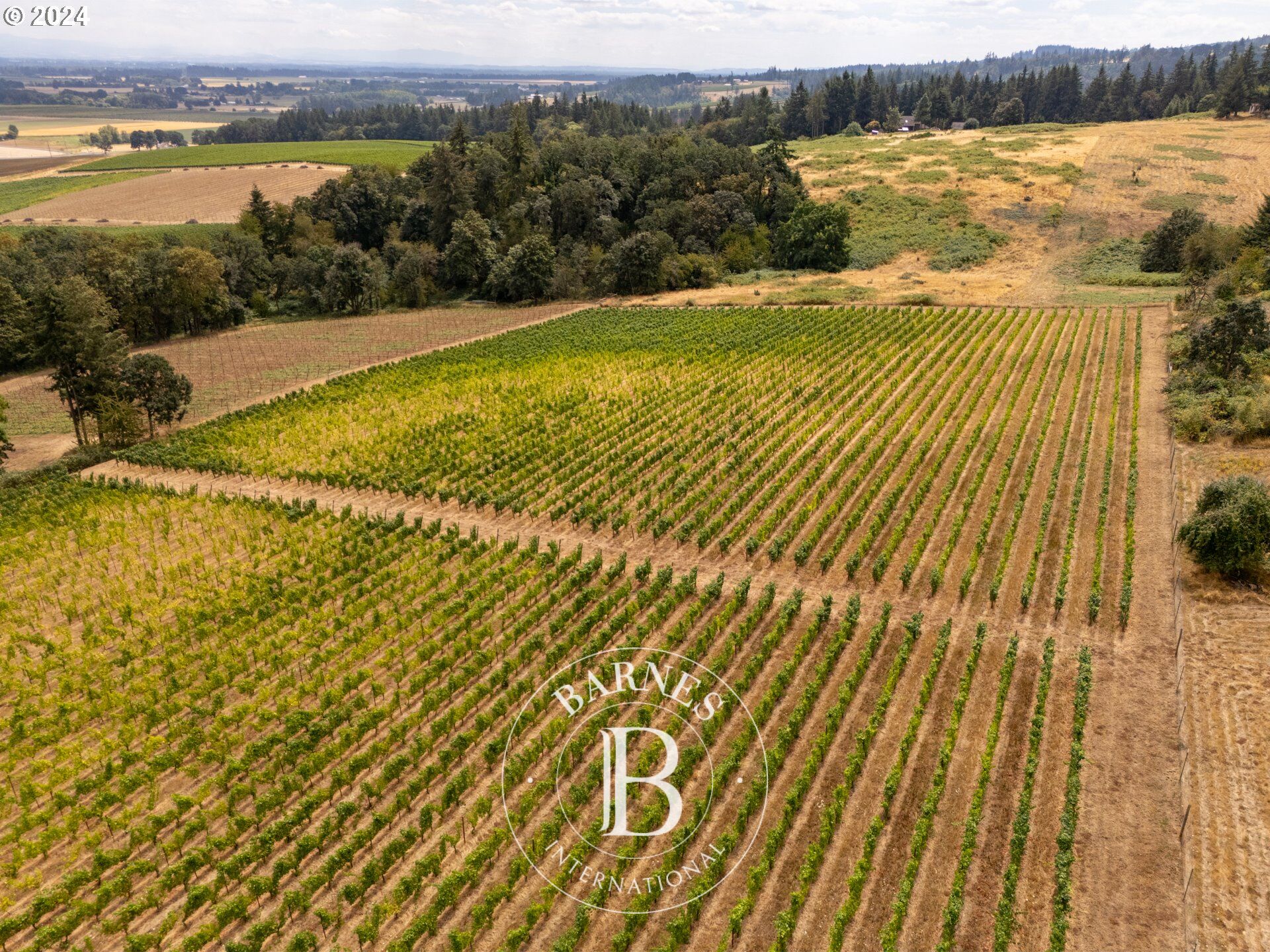 Terrain constructible Amity - picture 3