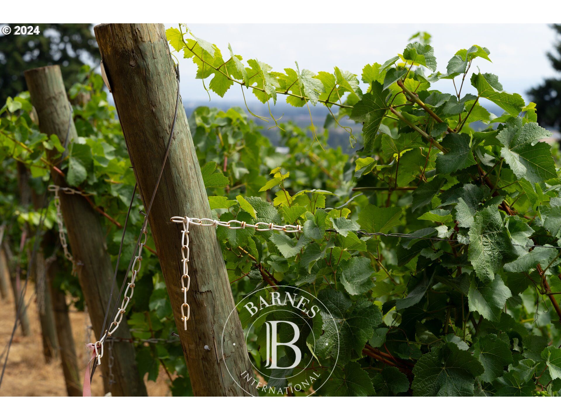 Terrain constructible Amity - picture 1