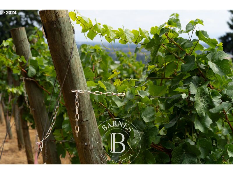 Terrain constructible Amity