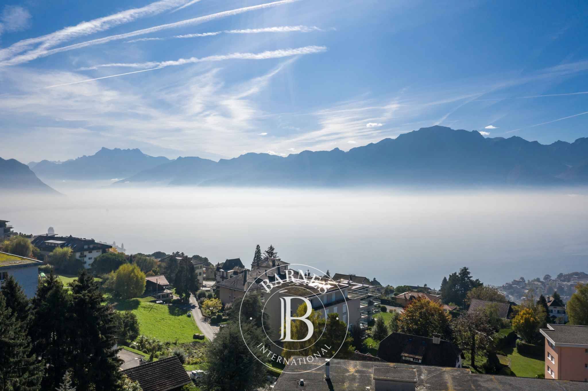 Piso Montreux - picture 2