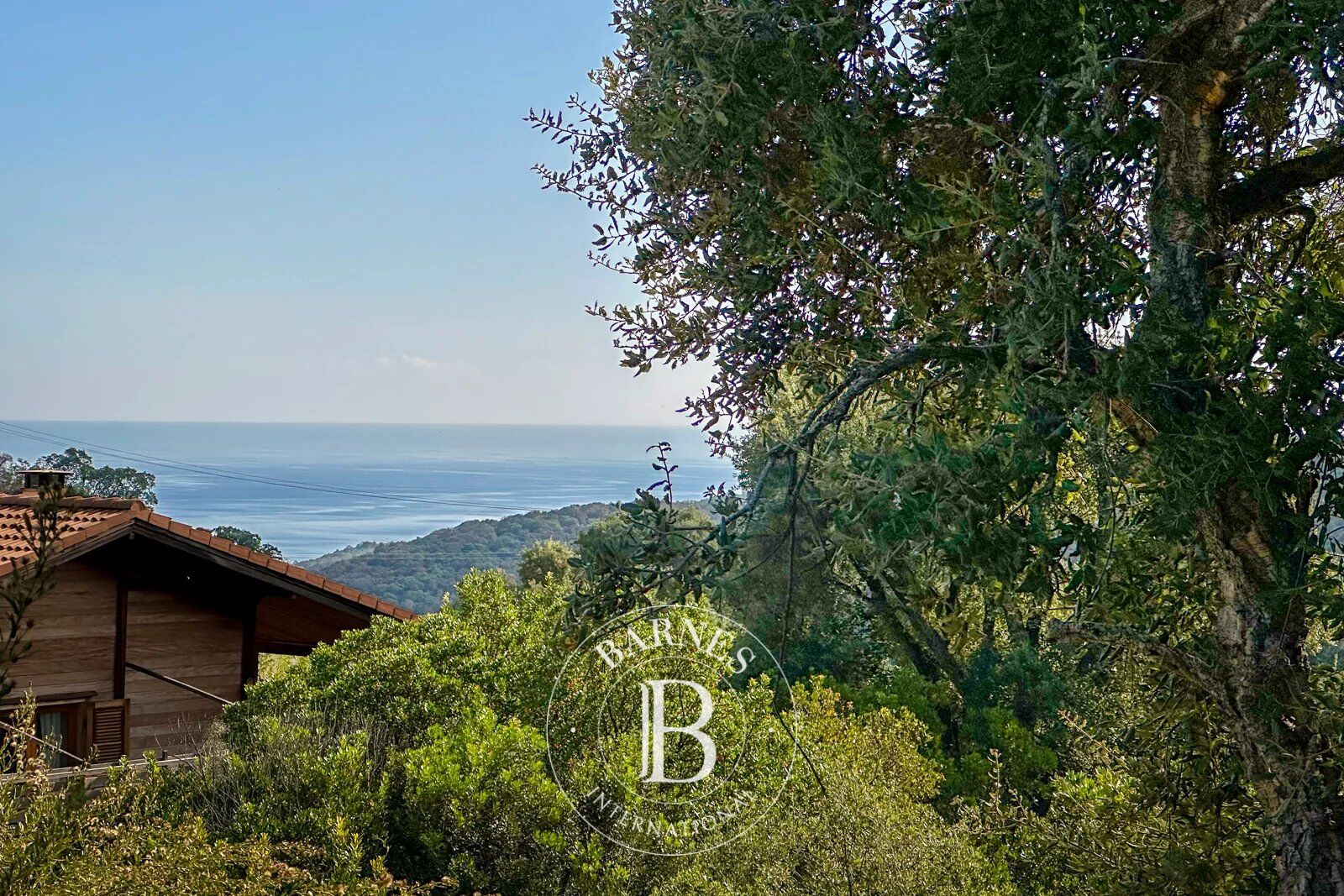 Terreno urbanizable Sari-Solenzara - picture 2