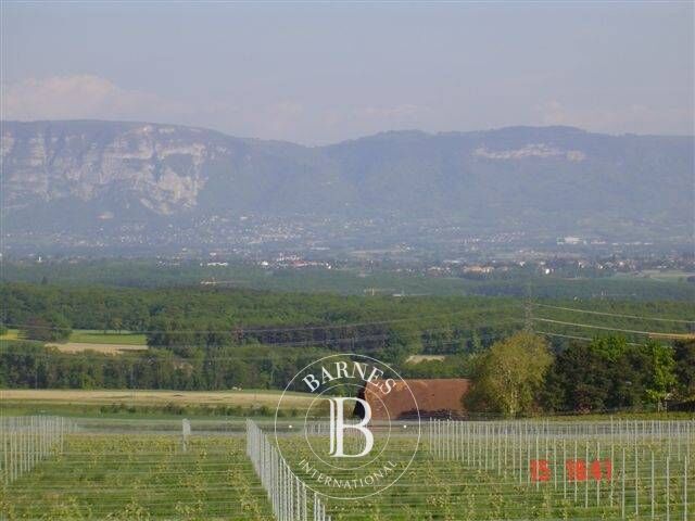 Finca Satigny - picture 2