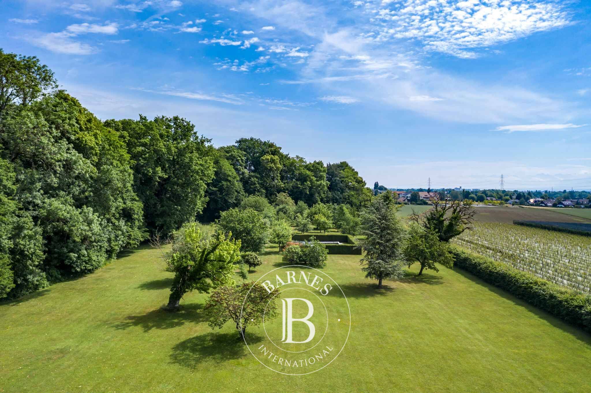 Vendita, Villa Crassier - picture 3