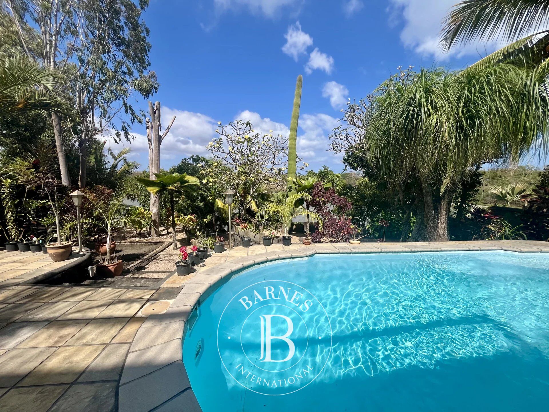 Ev Grand Baie - picture 6