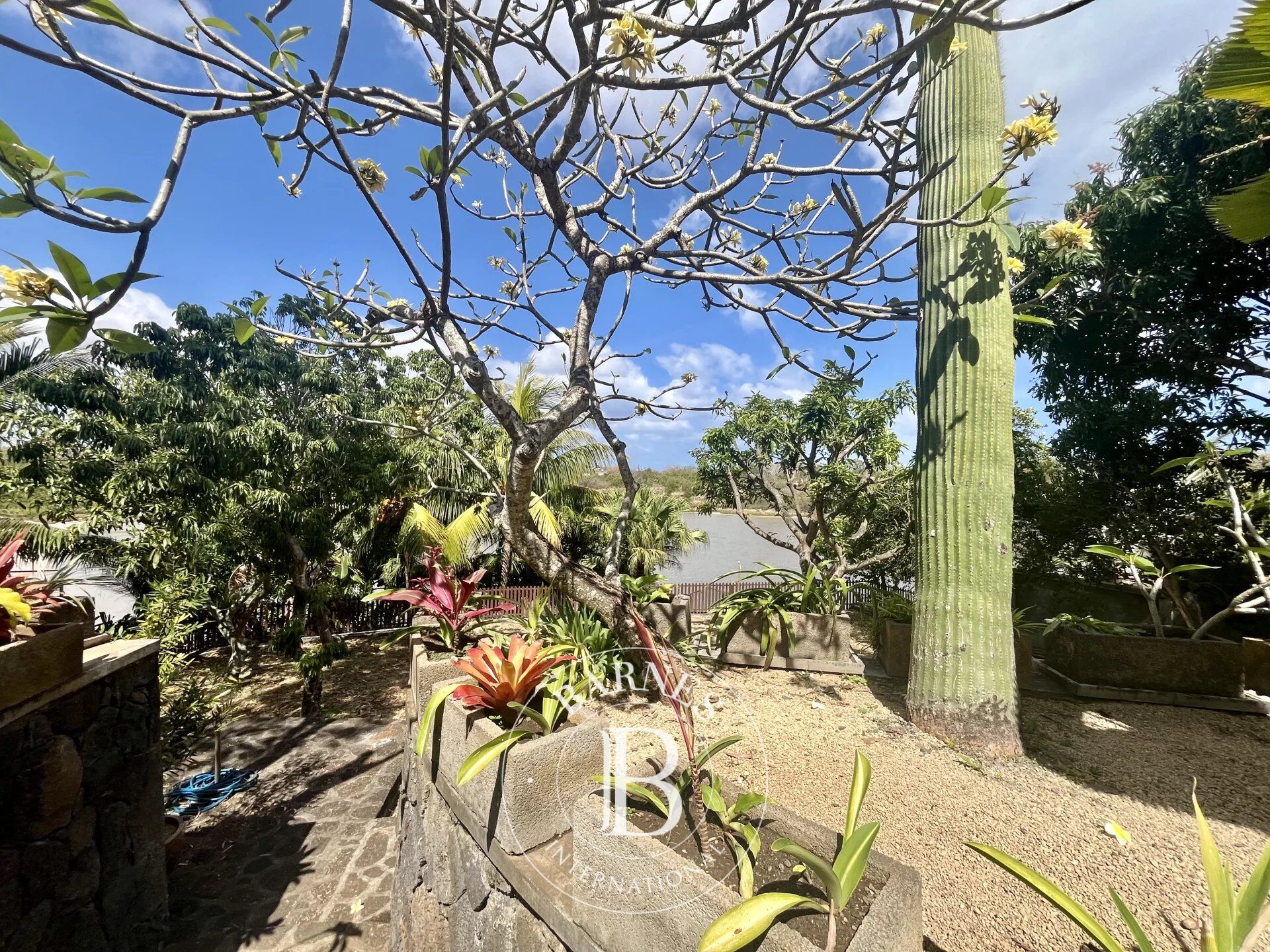 Ev Grand Baie - picture 7