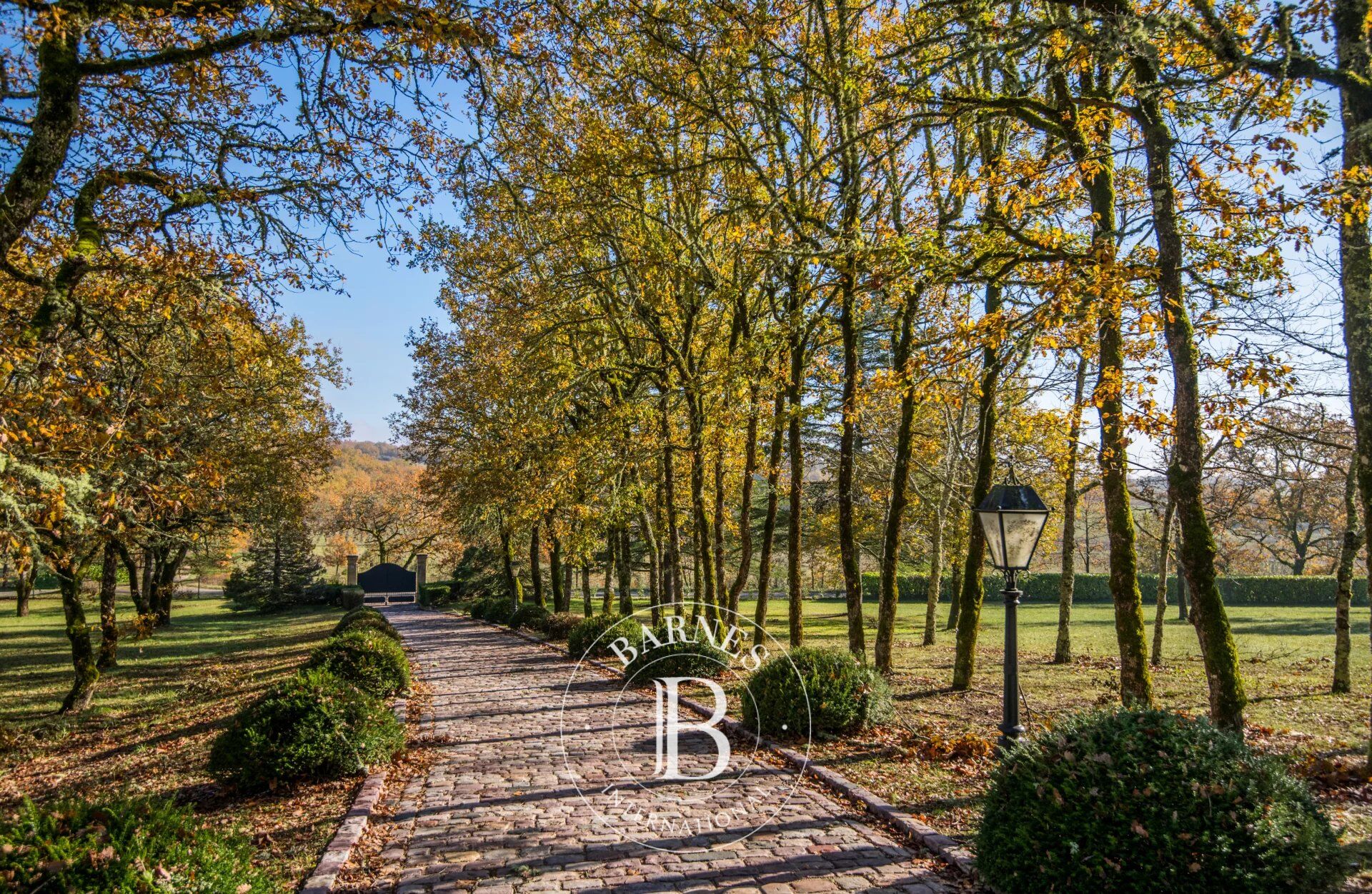 Au Cœur des Vignobles de Cahors - Domaine d’Exception avec son château - picture 3