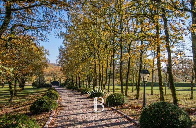 Venta, Castillo Saint-Vincent-Rive-d'Olt - picture 3