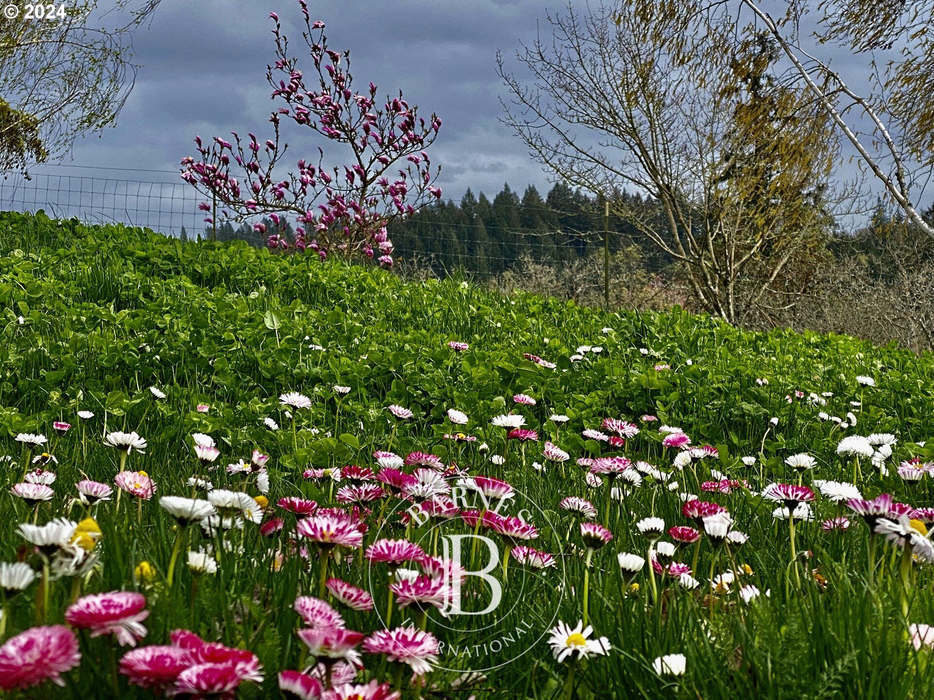 Maison Yamhill - picture 1