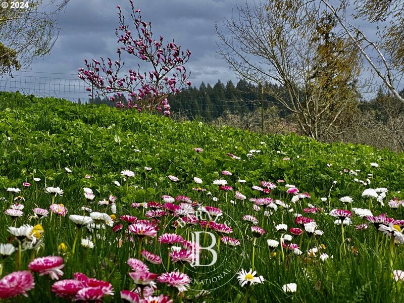 À vendre, Maison Yamhill - picture 1