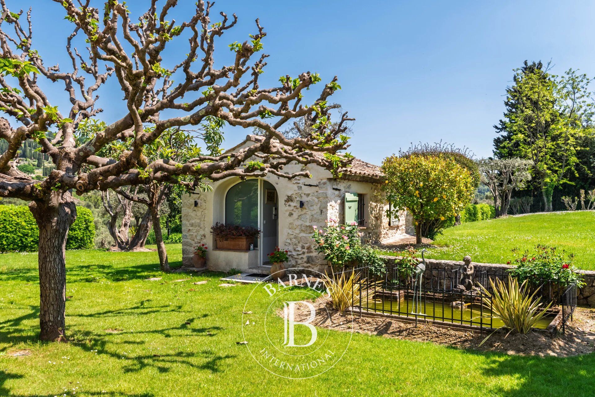 Kirevi Grasse - picture 15