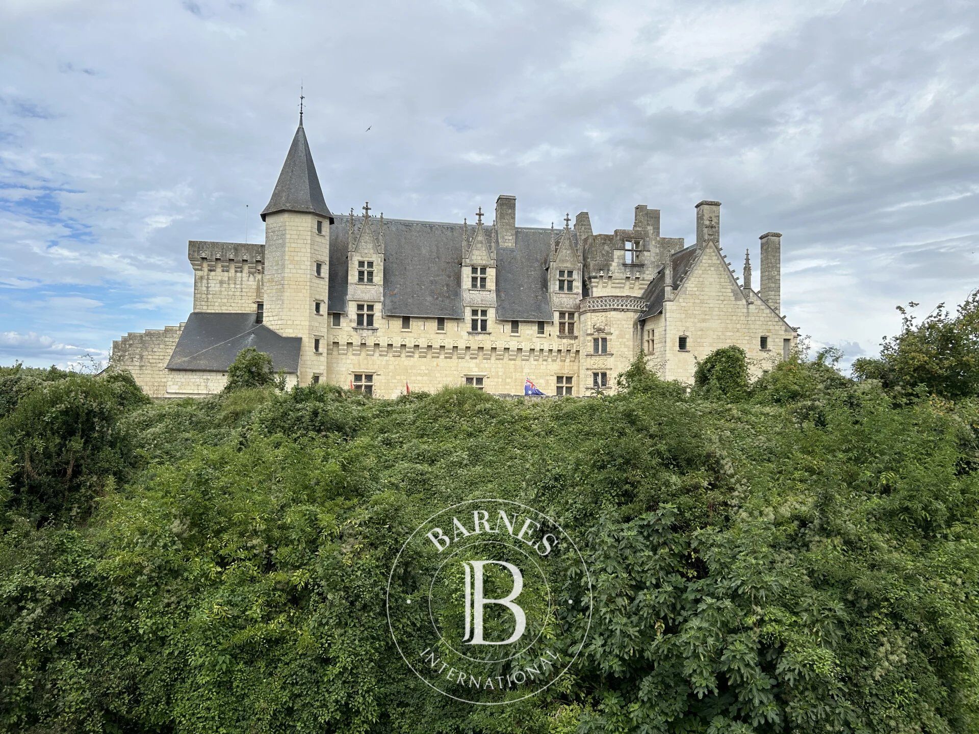 Casa di paese Montsoreau - picture 3