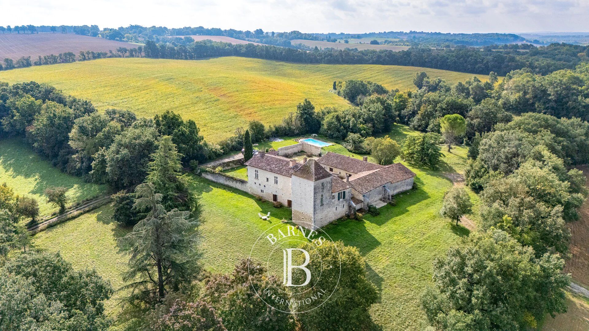 MAUVEZIN, GASCON CHATEAU WITH 3HA PARK - picture 3