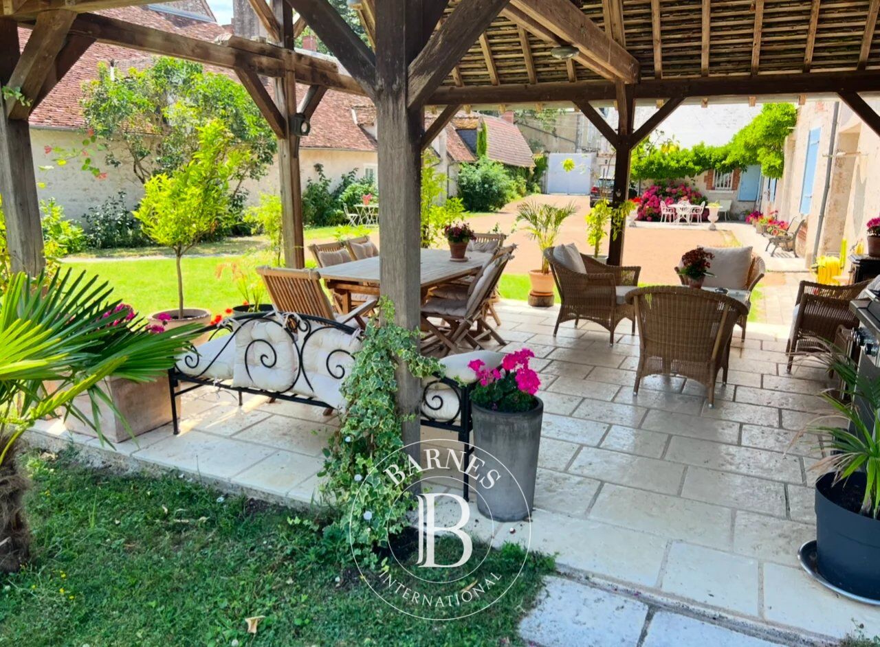 Finca Vineuil - picture 1