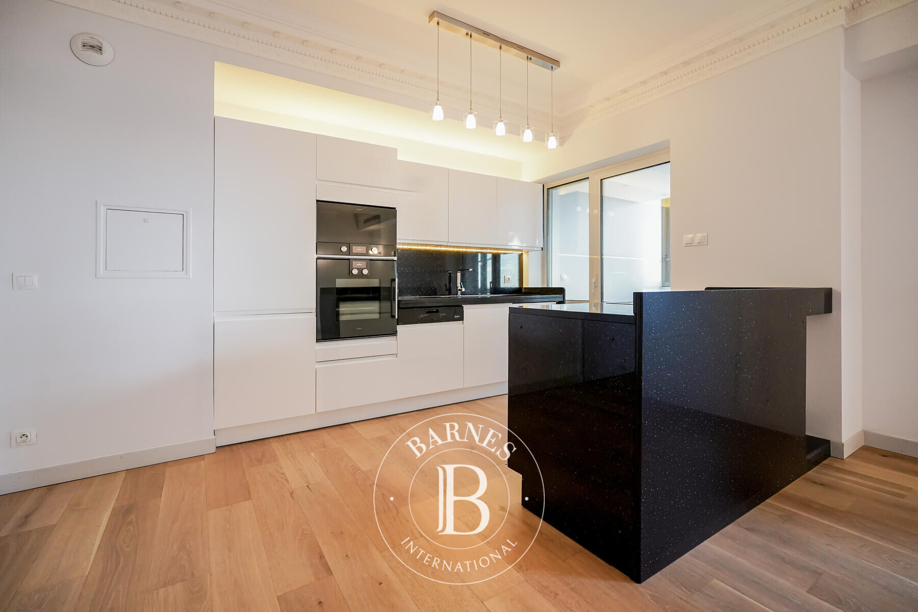 Daire Monaco - picture 5