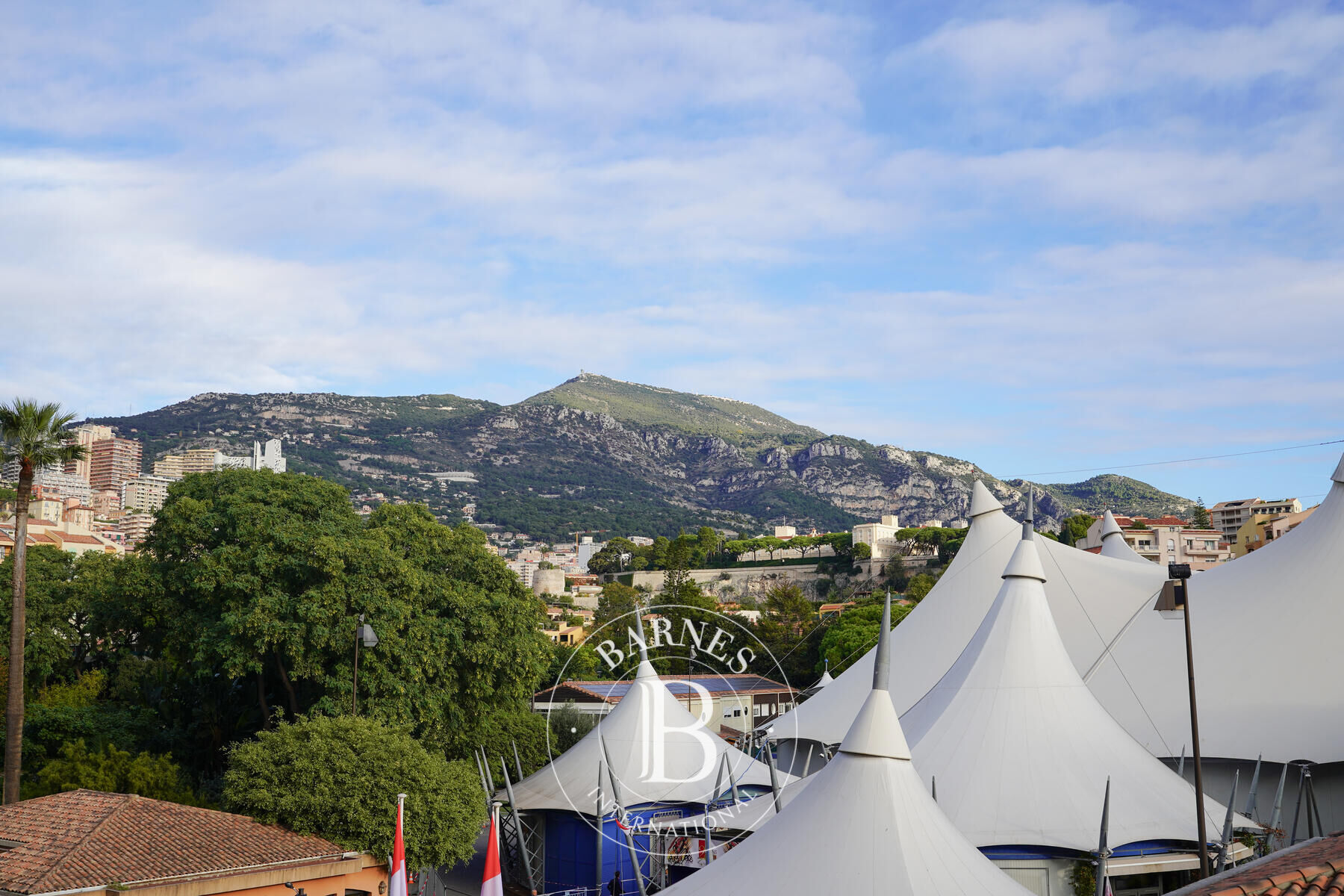 Daire Monaco - picture 12