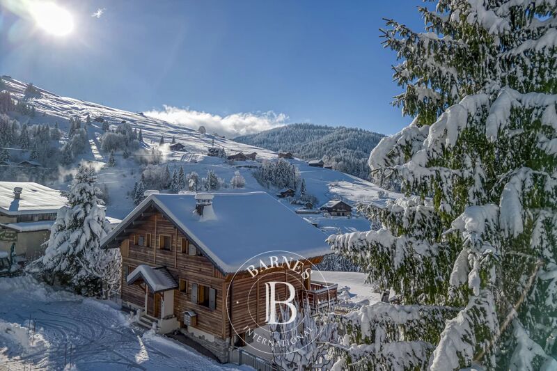 Venta, Chalet La Clusaz - picture 3