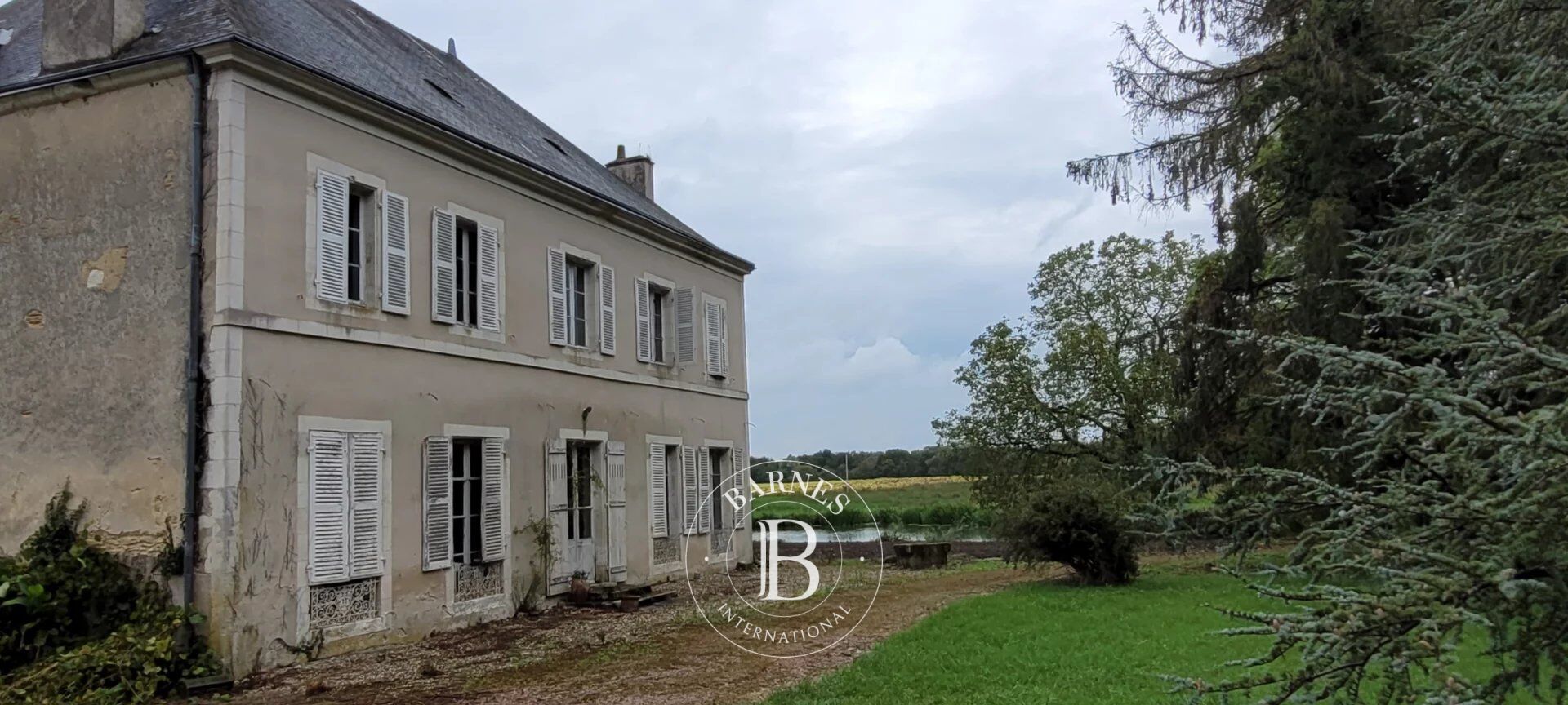 Finca Mézières-en-Brenne - picture 3