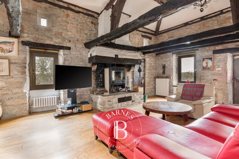 Venta, Finca Saint-Antonin-Noble-Val - picture 3