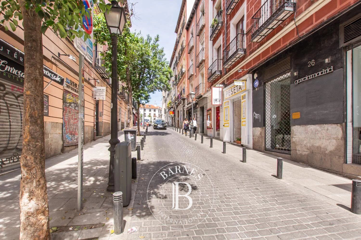 Daire Madrid - picture 34