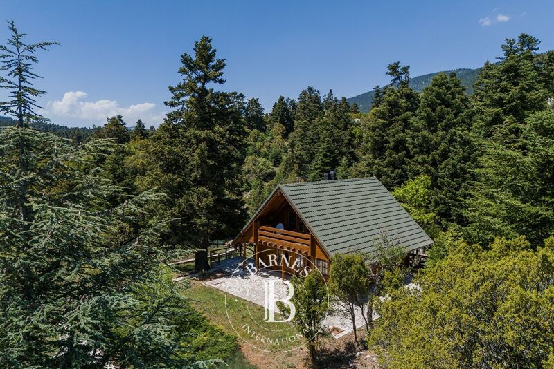 For Sale House | Parnassos - picture 1