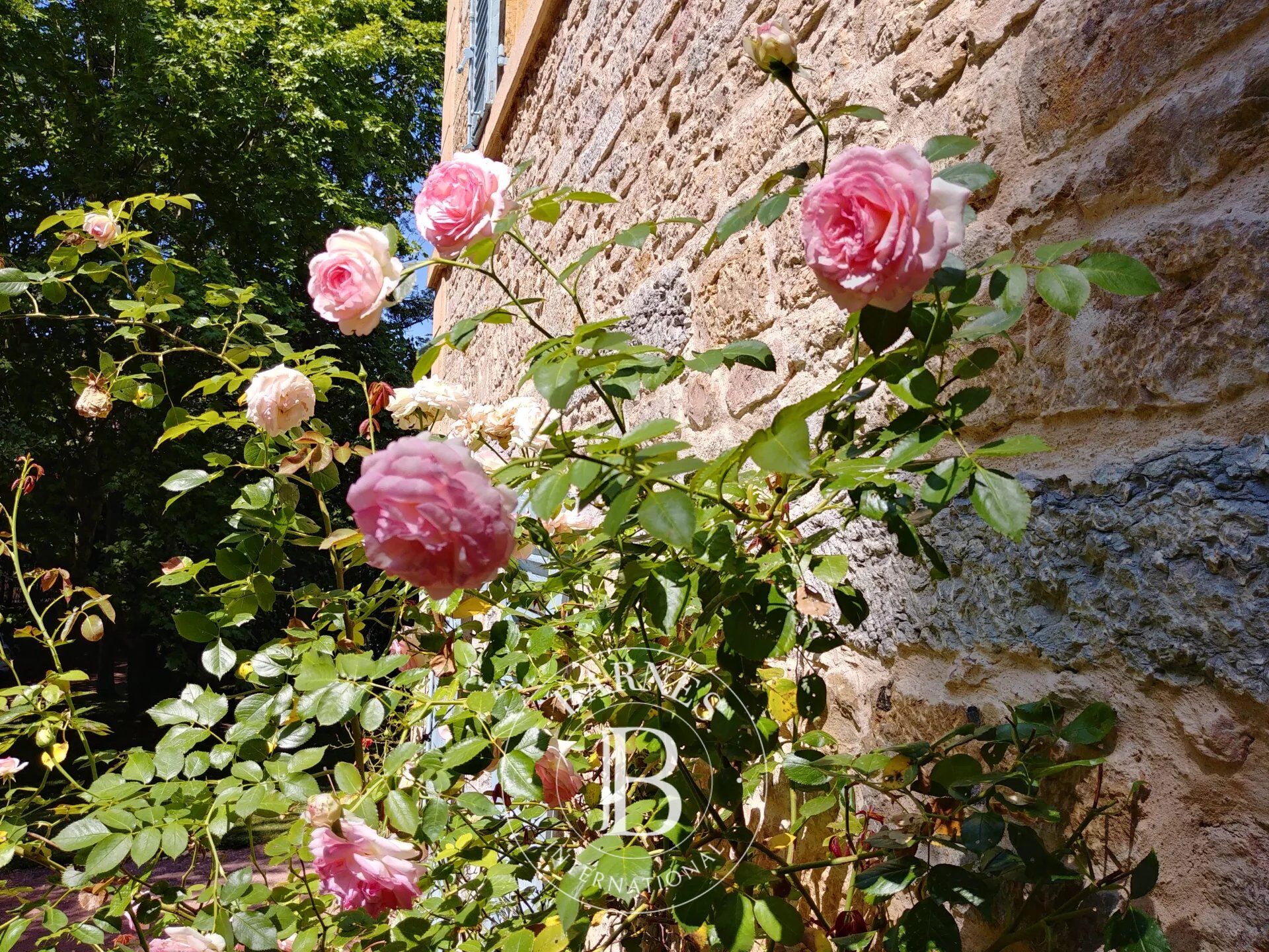 Piso Saint-Cyr-au-Mont-d'Or - picture 3