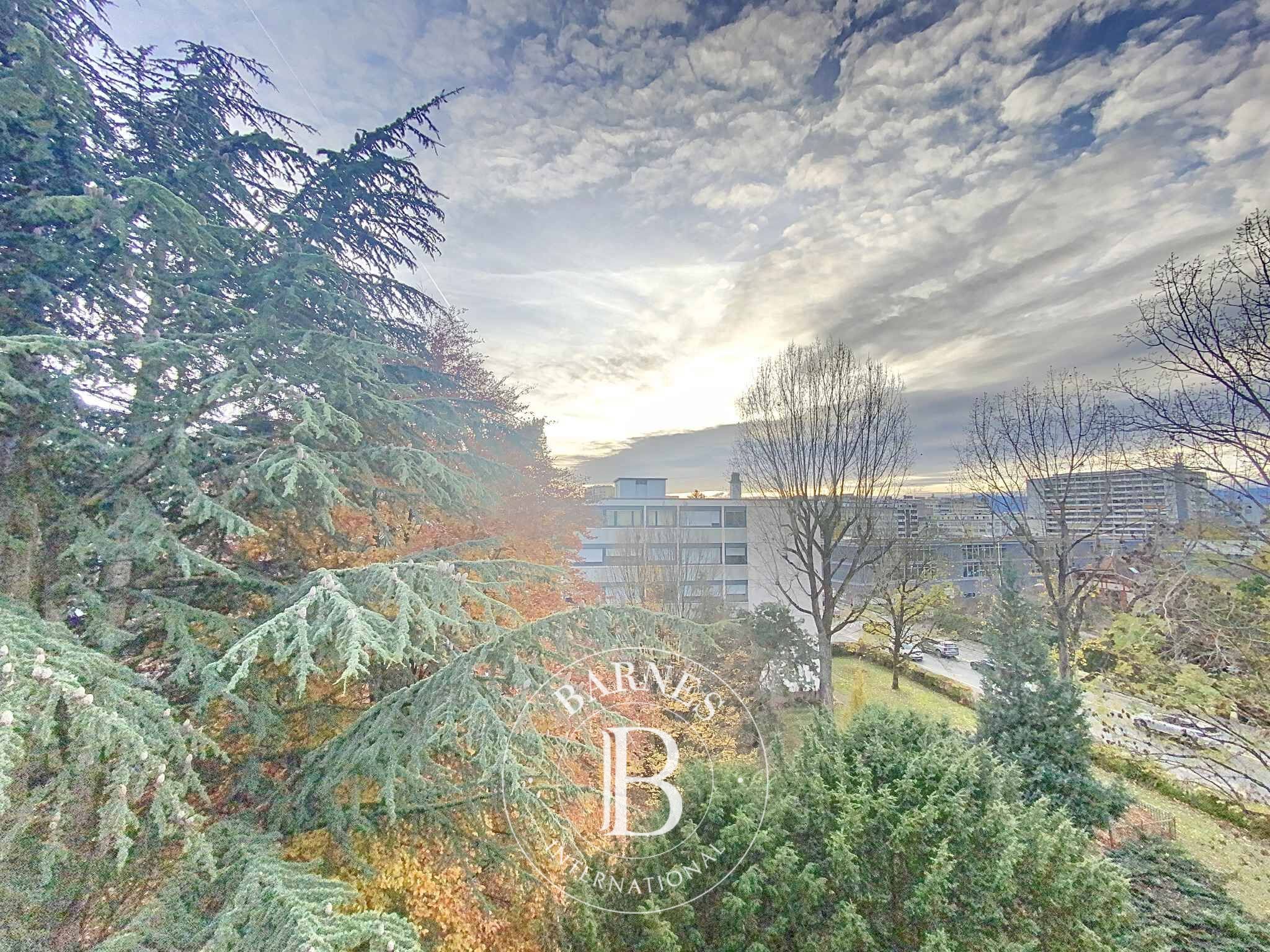 Appartement 4 pièces avec loggia au dernier étage - picture 1