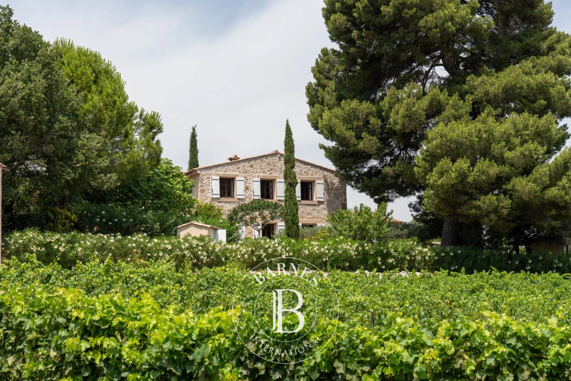 Proche Pézenas, mas, piscine et dépendance agricole sur 8 hectares. - picture 3