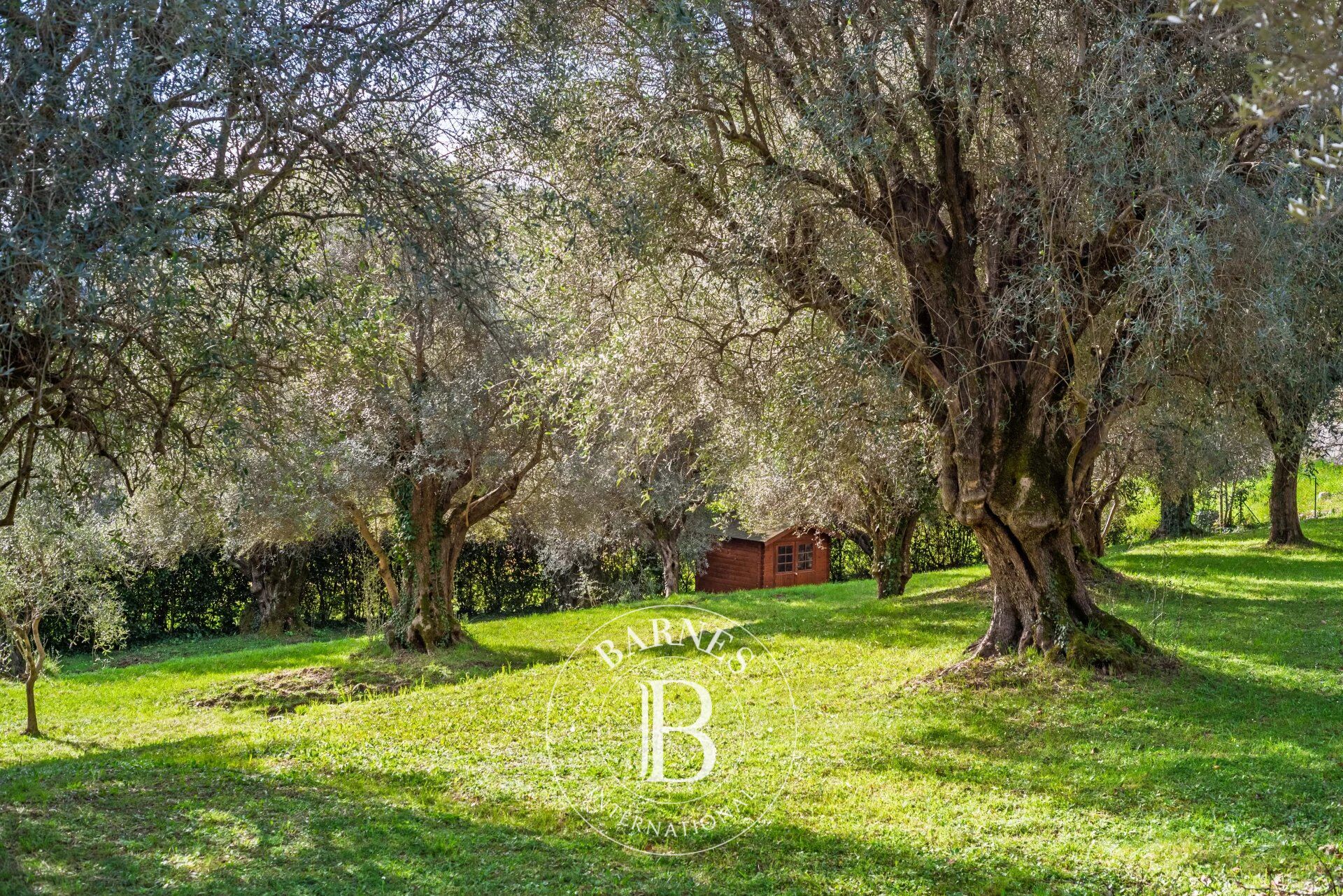 Mülkiyet La Colle-sur-Loup - picture 5