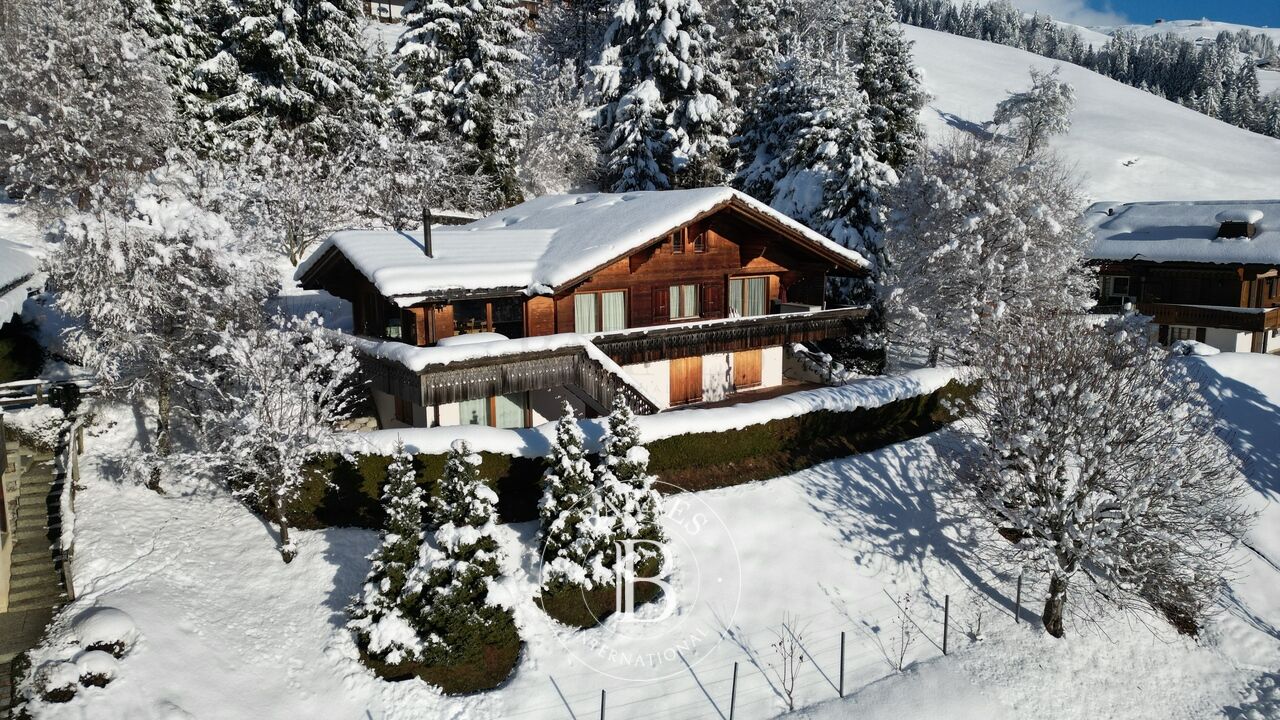 Magnifique chalet surplombant le village