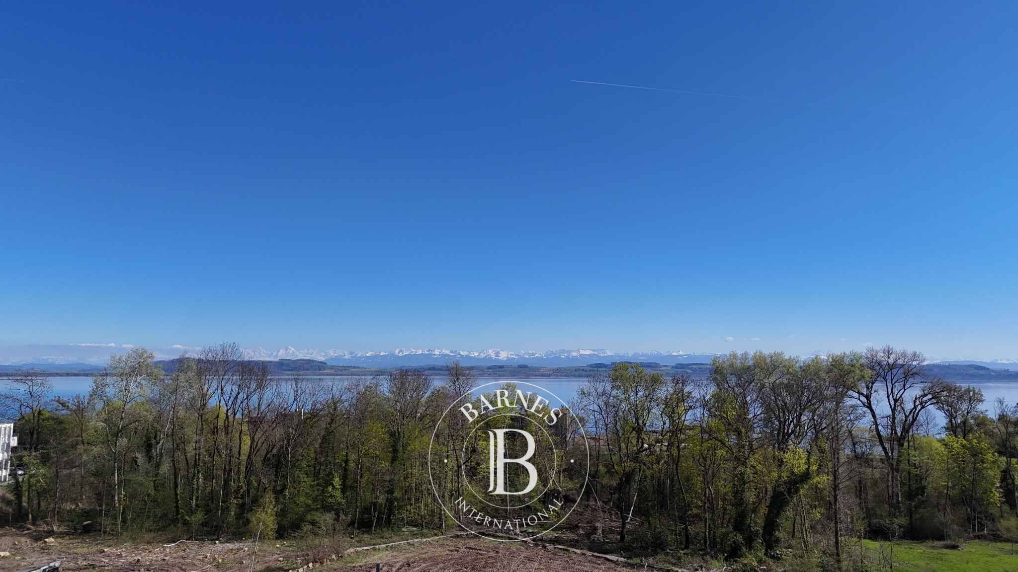 Finca Hauterive NE - picture 2