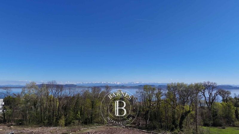 Venta Finca | Hauterive NE - picture 2