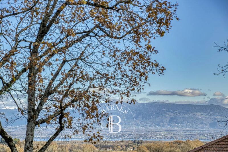 Venta, Villa Grilly - picture 2