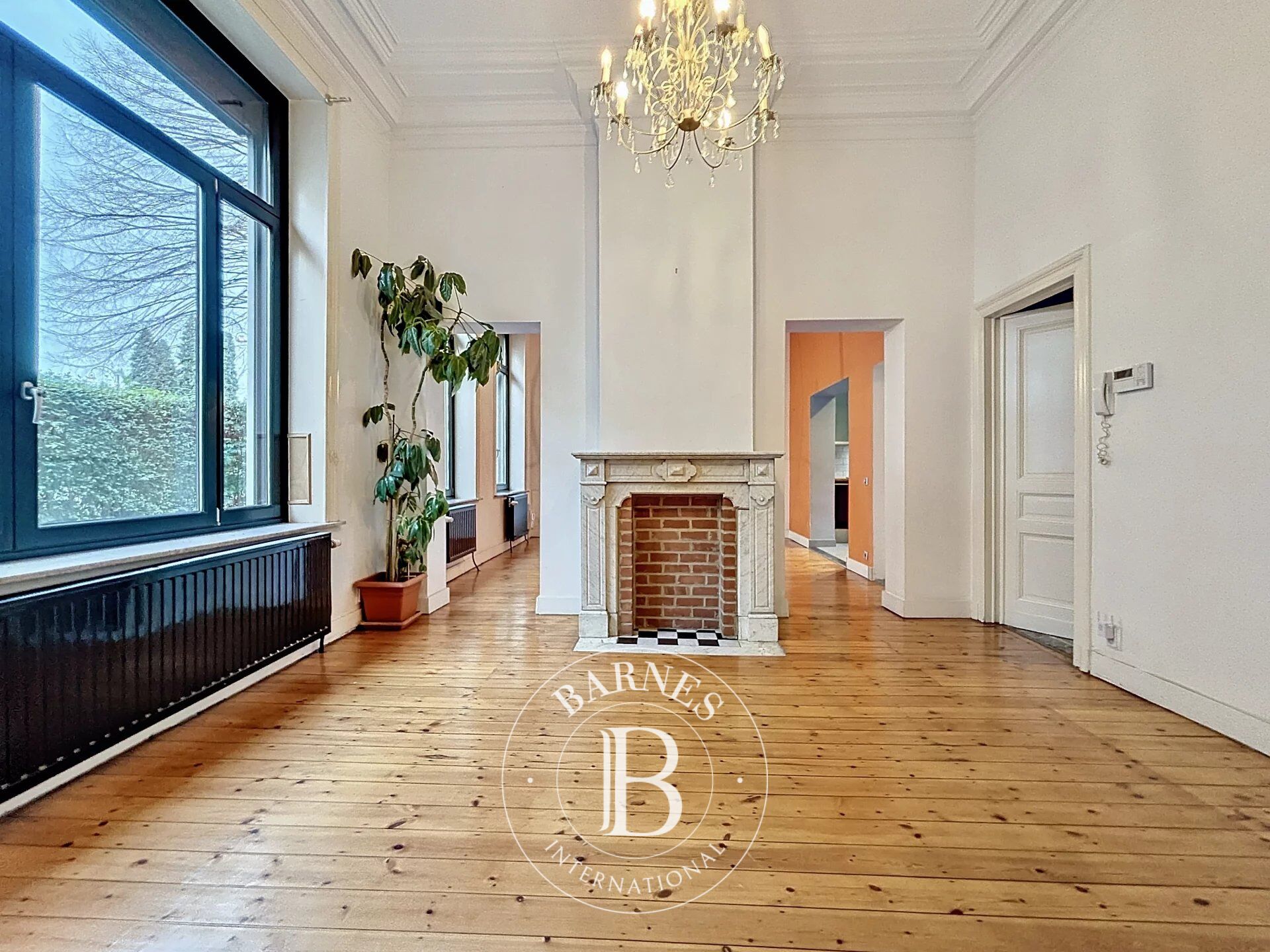 Ev Ixelles - picture 4