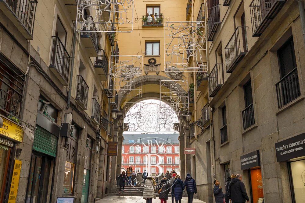 Daire Madrid - picture 40