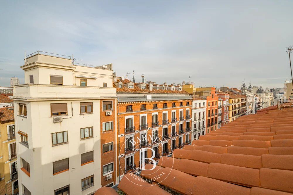 Daire Madrid - picture 37