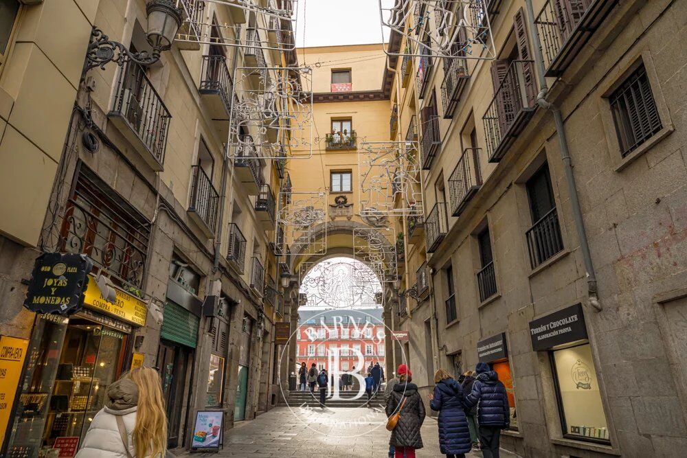 Daire Madrid - picture 38