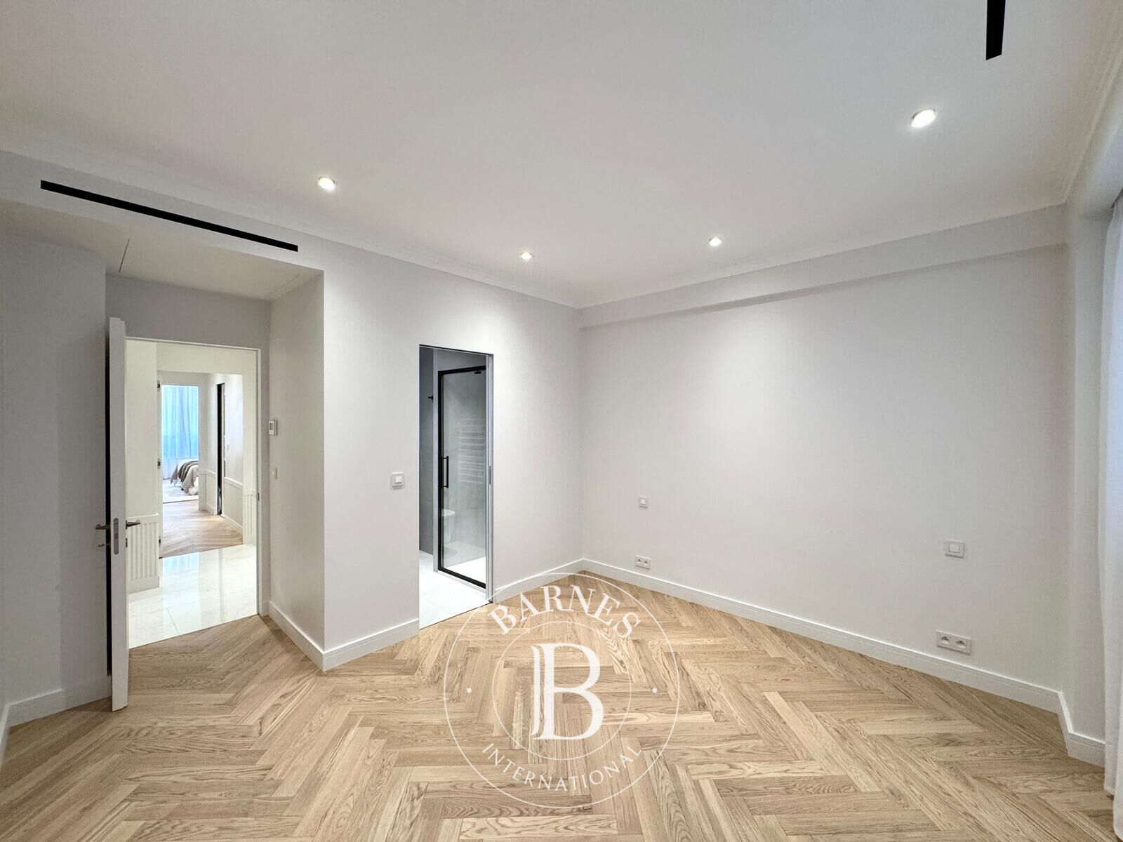 Daire Monaco - picture 10