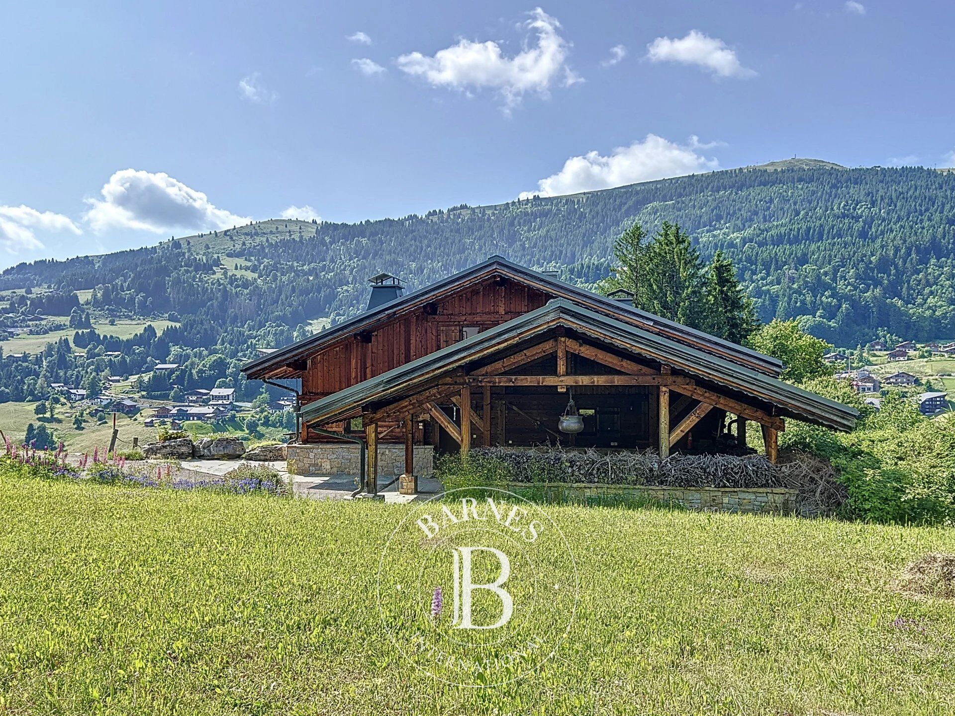 Dağ evi Les Gets - picture 22