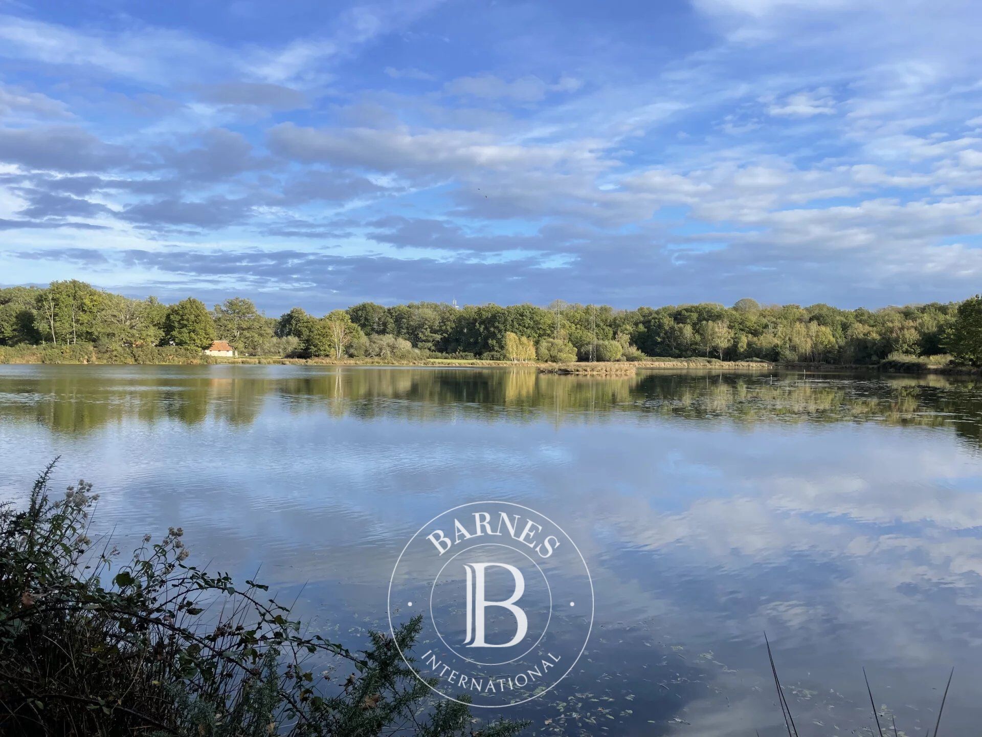 Immobilie Theillay - picture 1