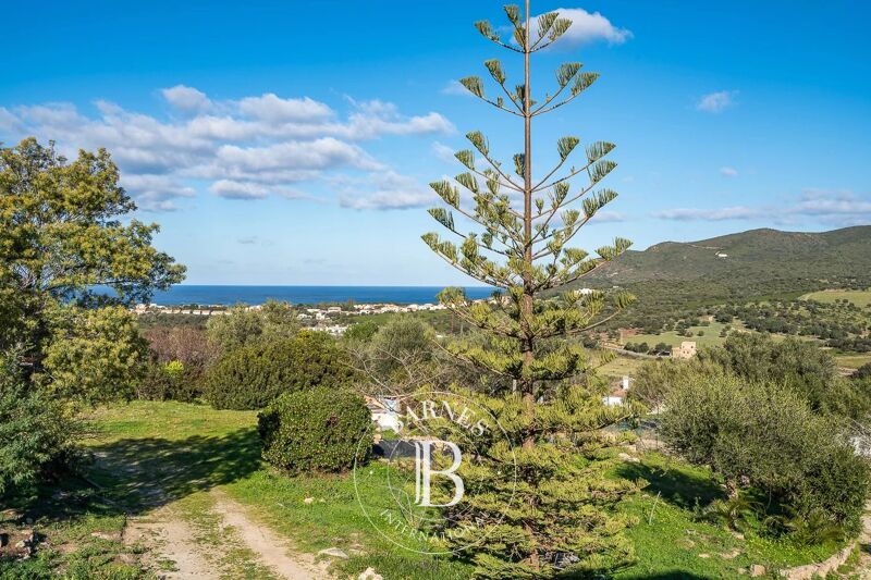 For Sale, House Palasca - picture 1