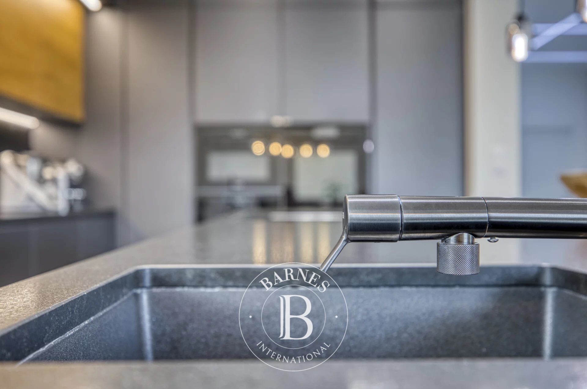 Villa Divonne-les-Bains - picture 4