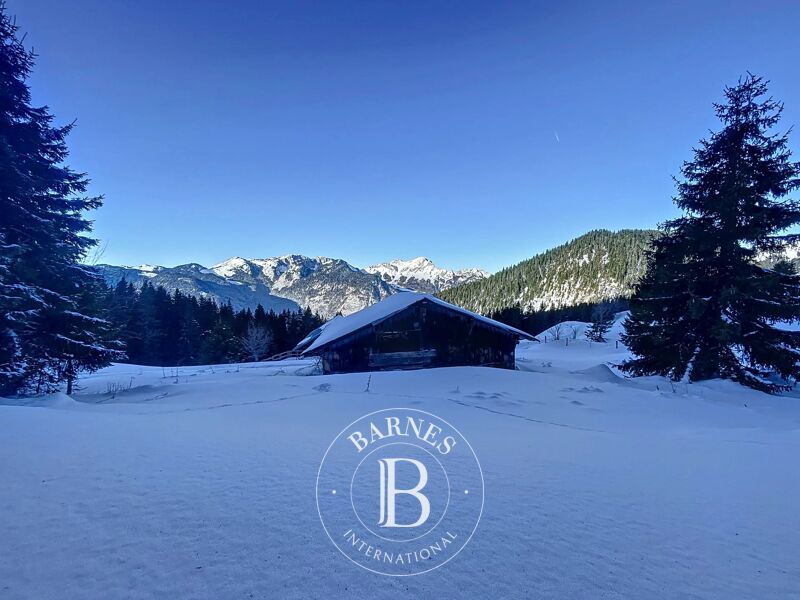 Vendita Chalet | Le Biot - picture 3