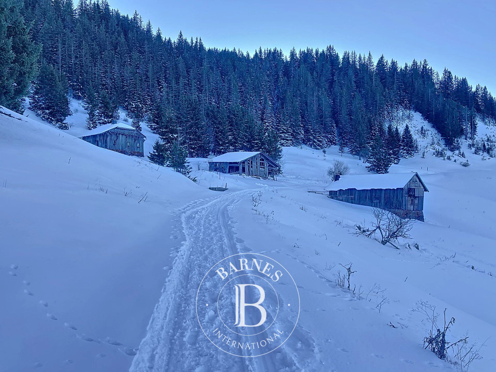 Dağ evi Le Biot - picture 13