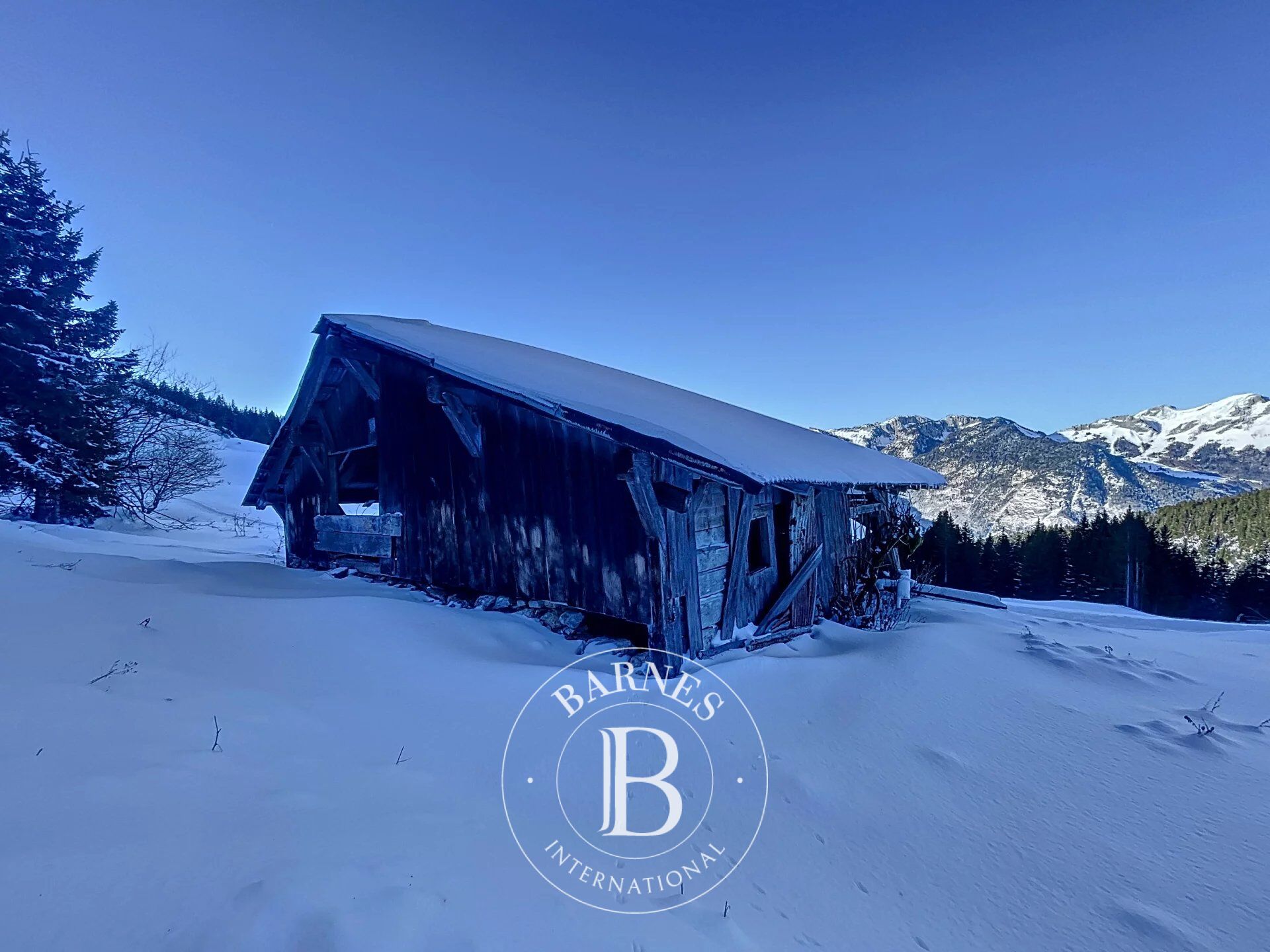 Dağ evi Le Biot - picture 5