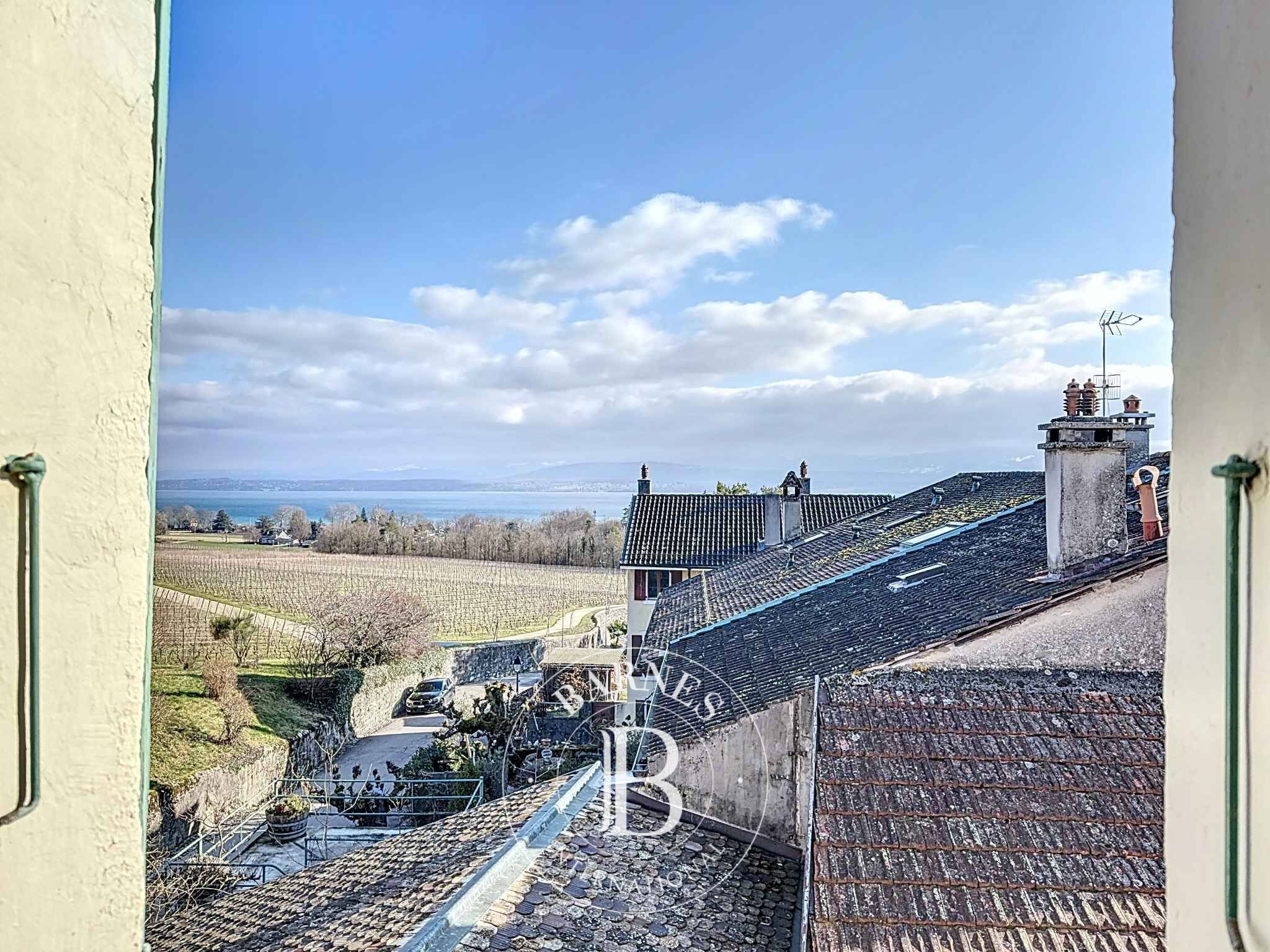 Villa Céligny - picture 7