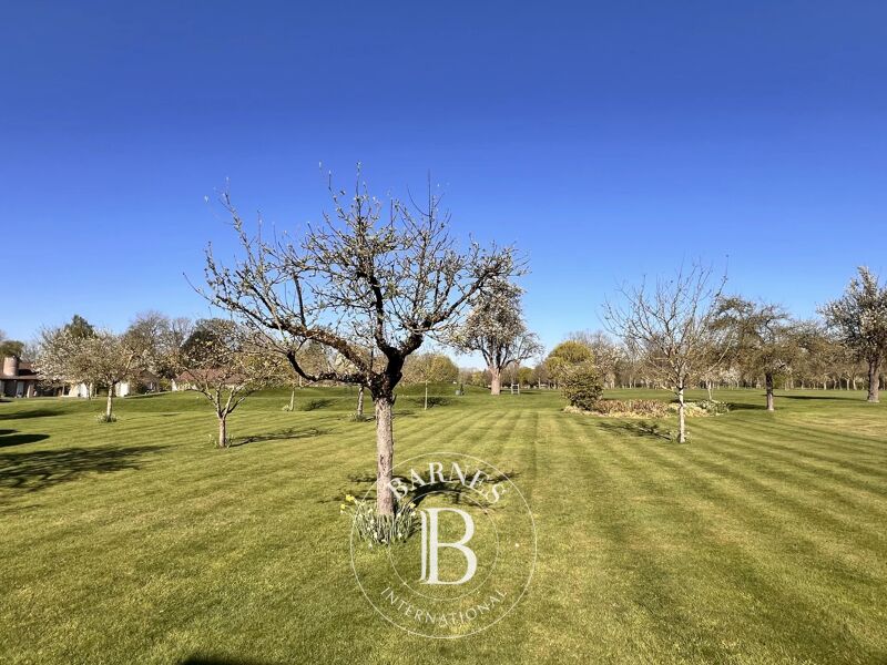 VENTE INTERACTIVE sous forme d'enchères