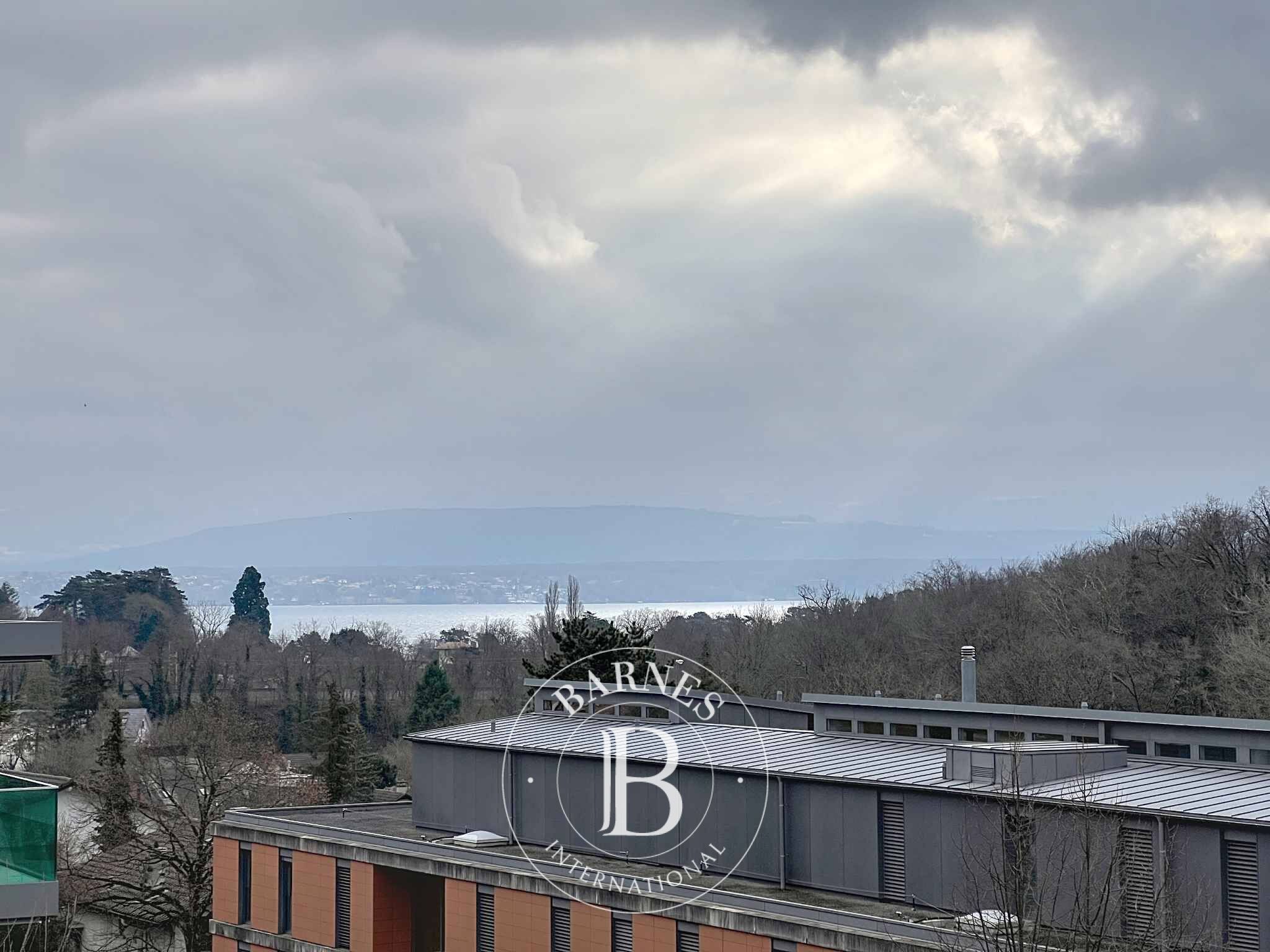 Daire Nyon - picture 9