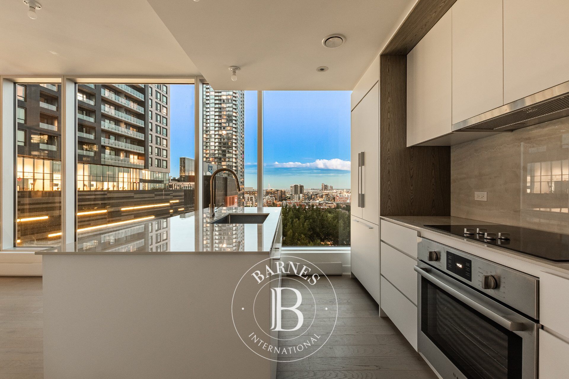 Daire Montréal (Ville-Marie)