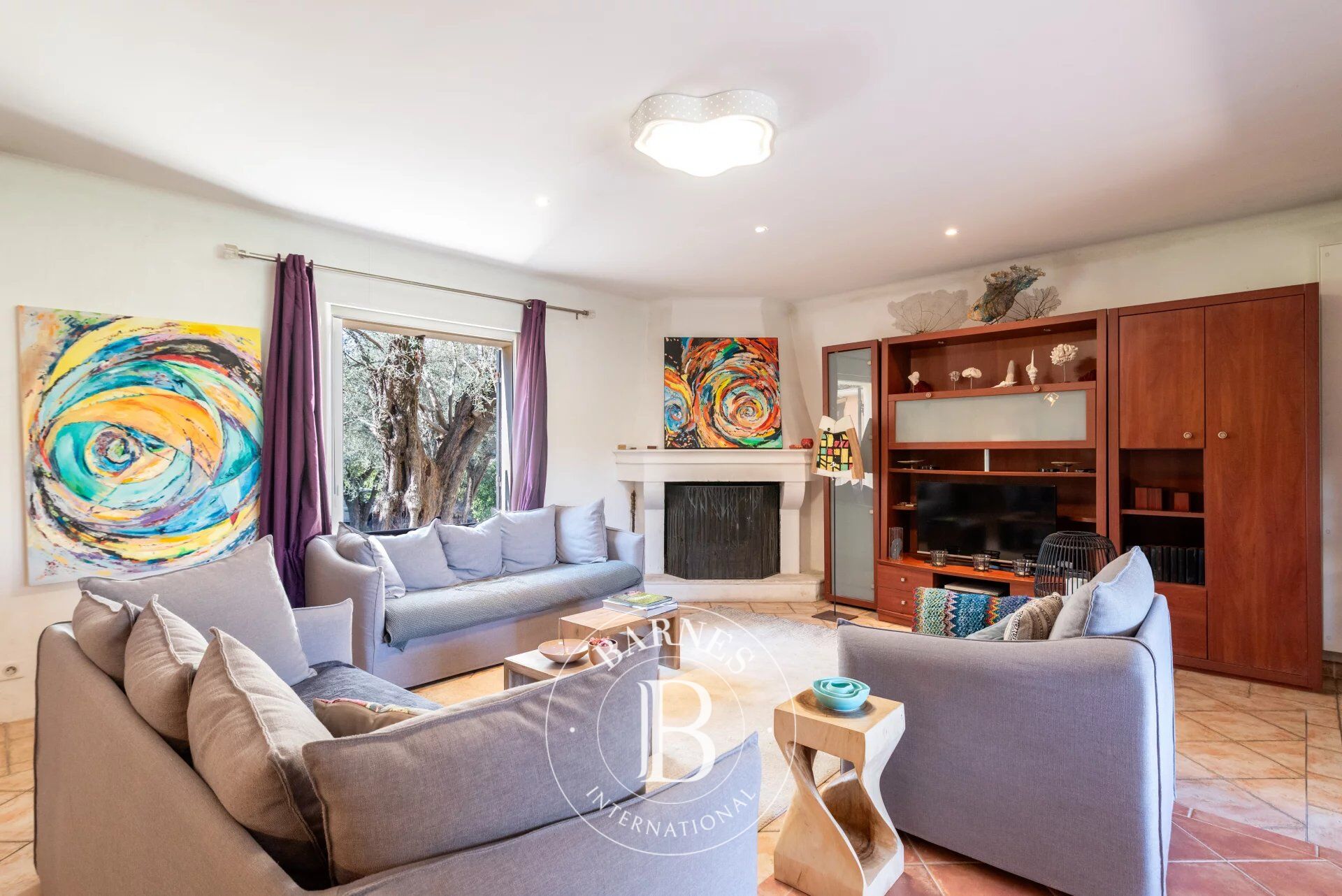 Ev Mougins - picture 6