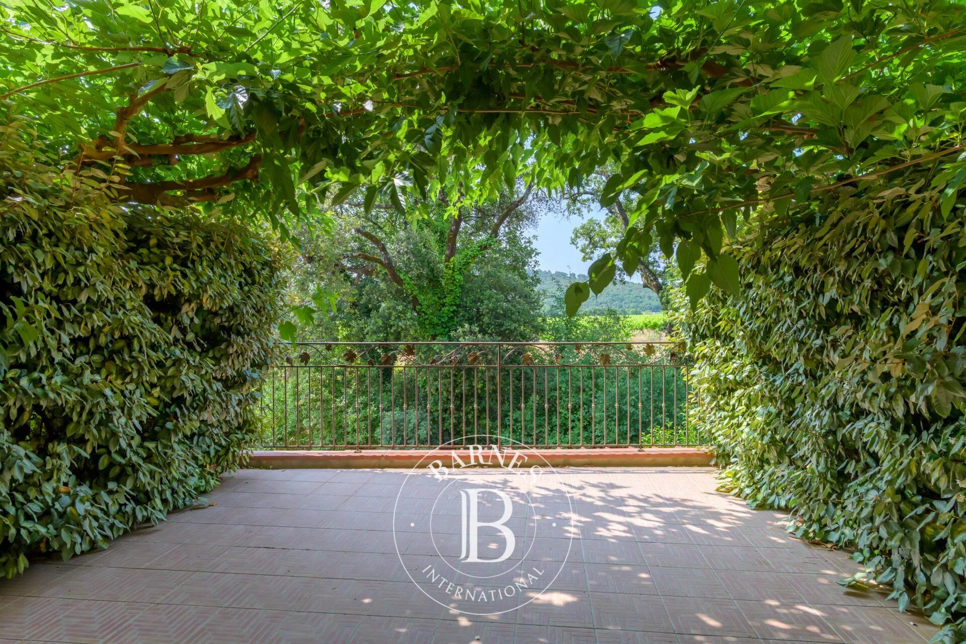 Hotel Cuers - picture 3